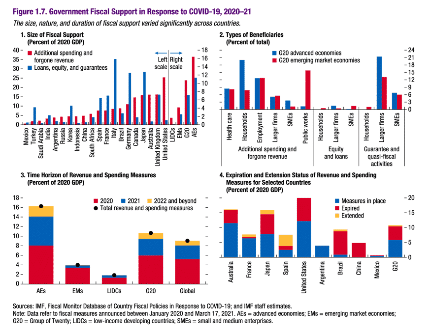 IMF Government Fiscal Support